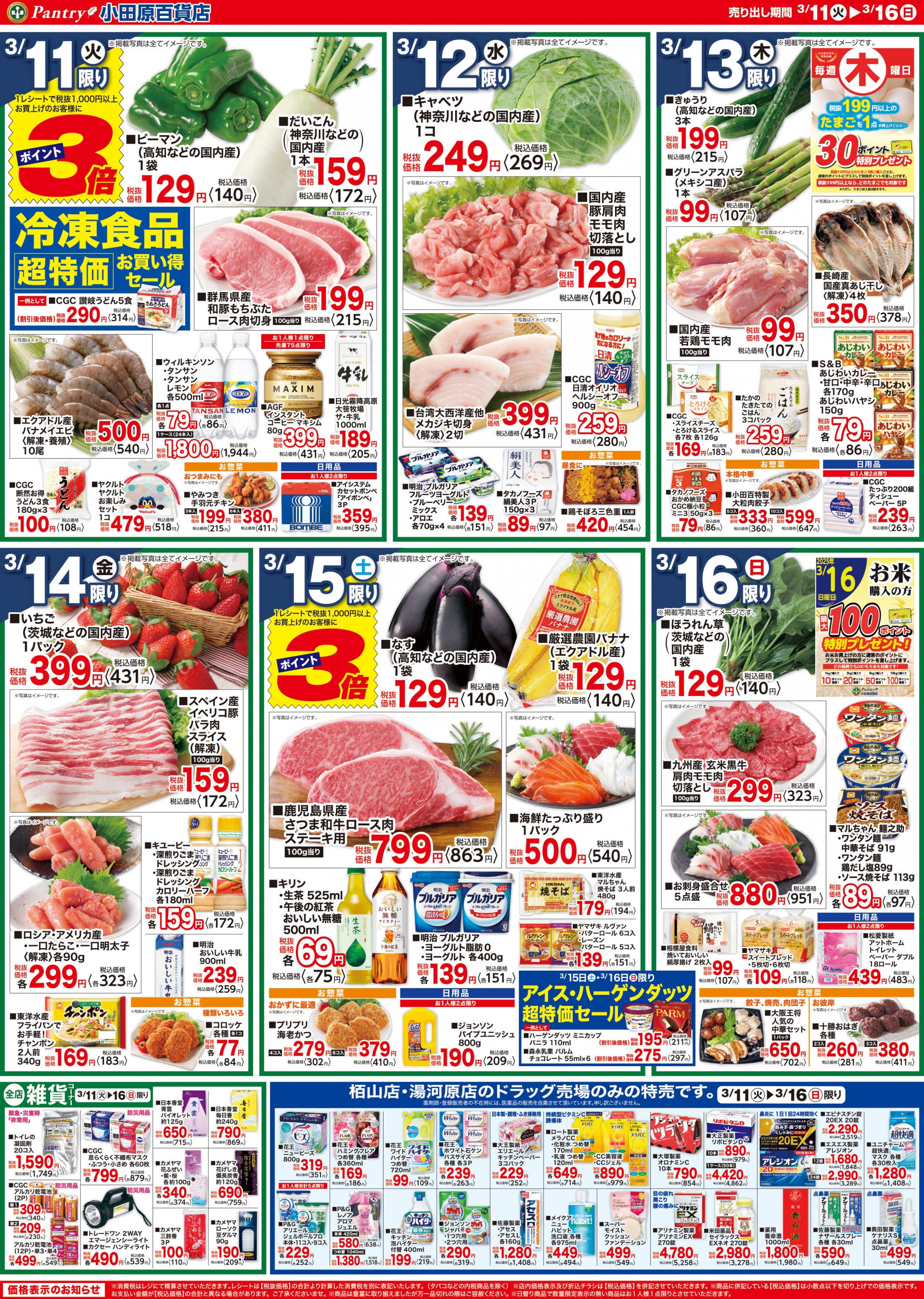 【全店舗共通チラシ】 3/11（火）～3/16（日） 湯河原店開店50周年記念セール